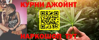 гидра Михайловск